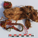 A sacrificed guinea pig found at Tambo Viejo.